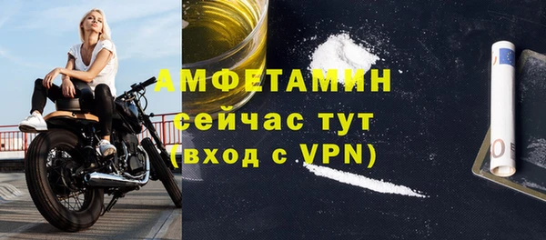 стаф Щигры