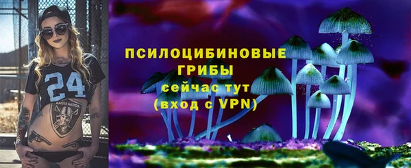 PSILOCYBIN Белокуриха