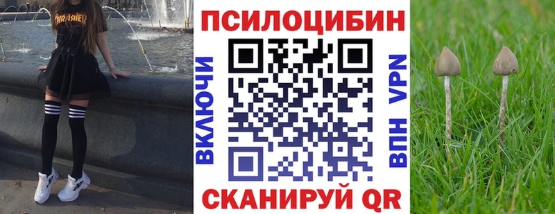 Псилоцибиновые грибы прущие грибы купить наркотики сайты Татарск